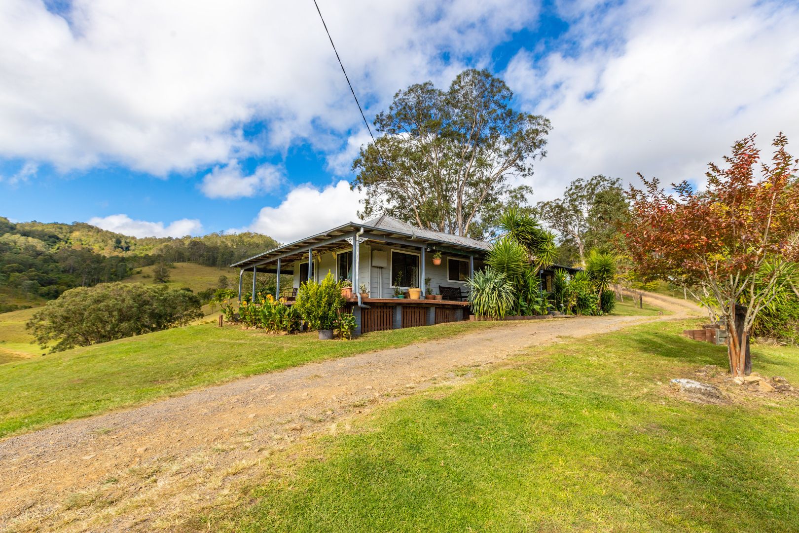 282 Parks Creek Road, East Gresford NSW 2311, Image 2