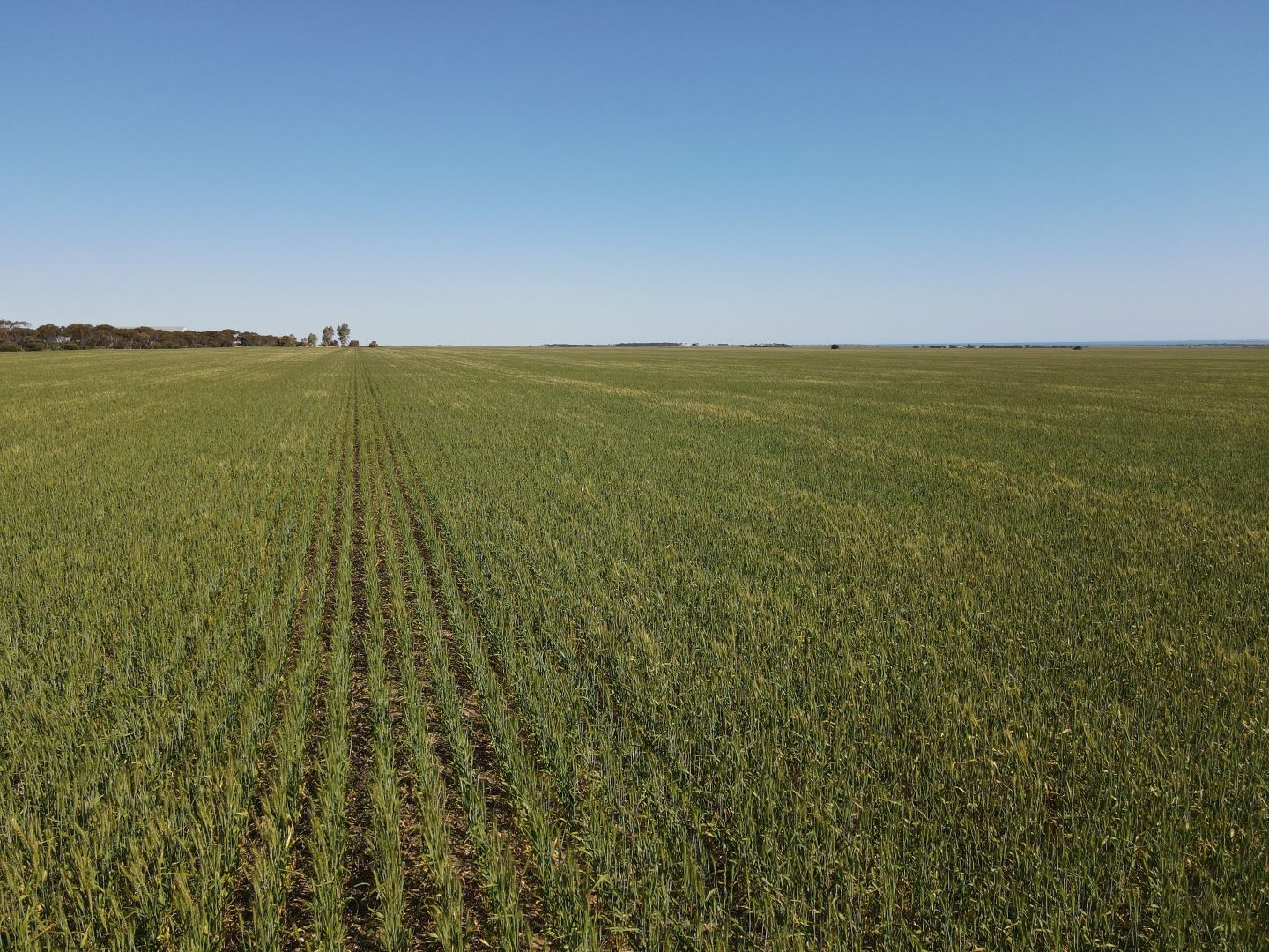 1671 South Kilkerran Rd, Maitland SA 5573 House for Sale Domain