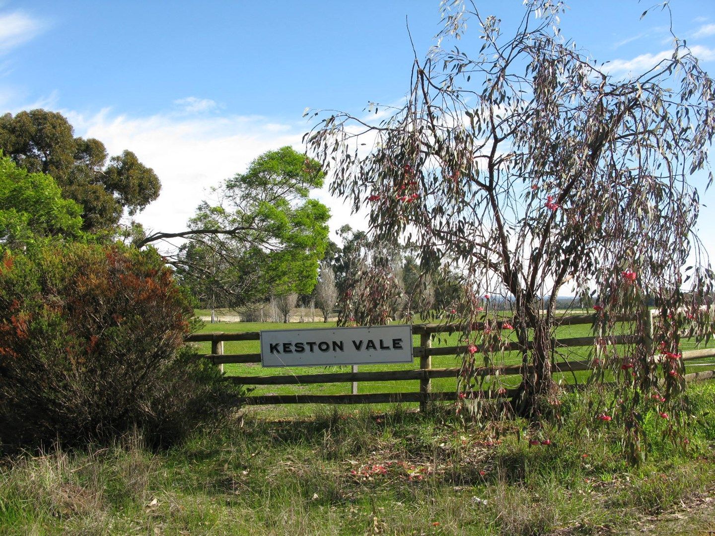 156 Keston Vale Road, Mobrup WA 6395, Image 0