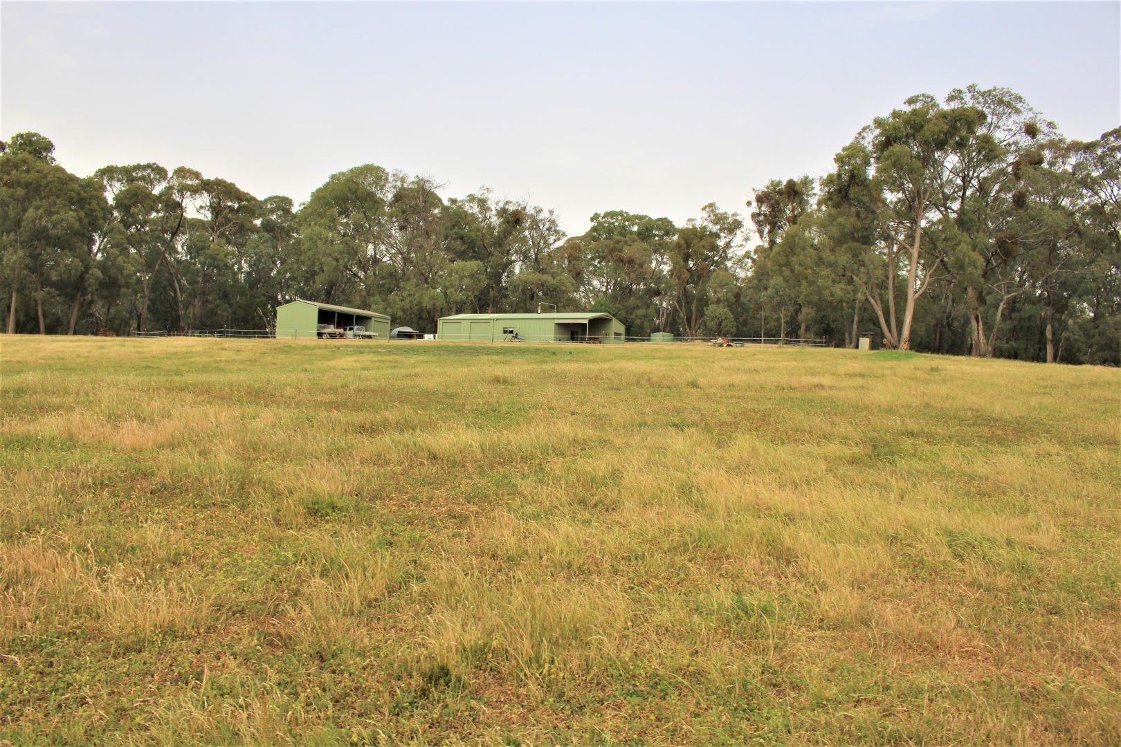 1126 Munderoo Road, Munderoo NSW 2653, Image 1