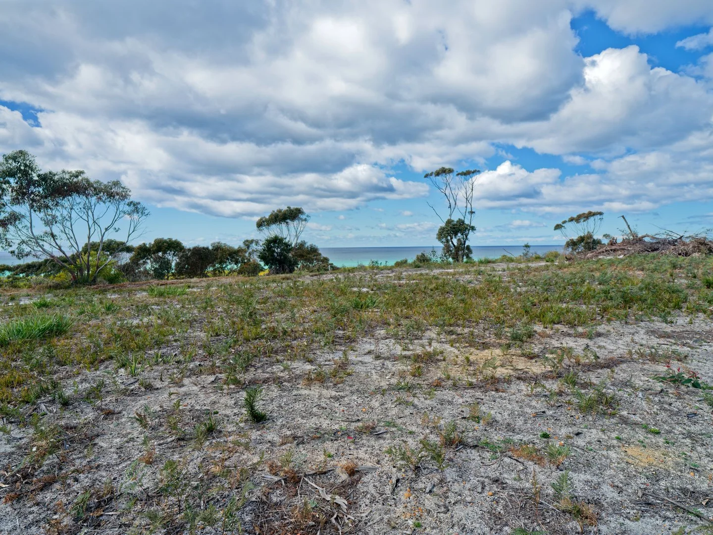 Additional image 15 of 26 Wrinklers Drive, Scamander TAS 7215