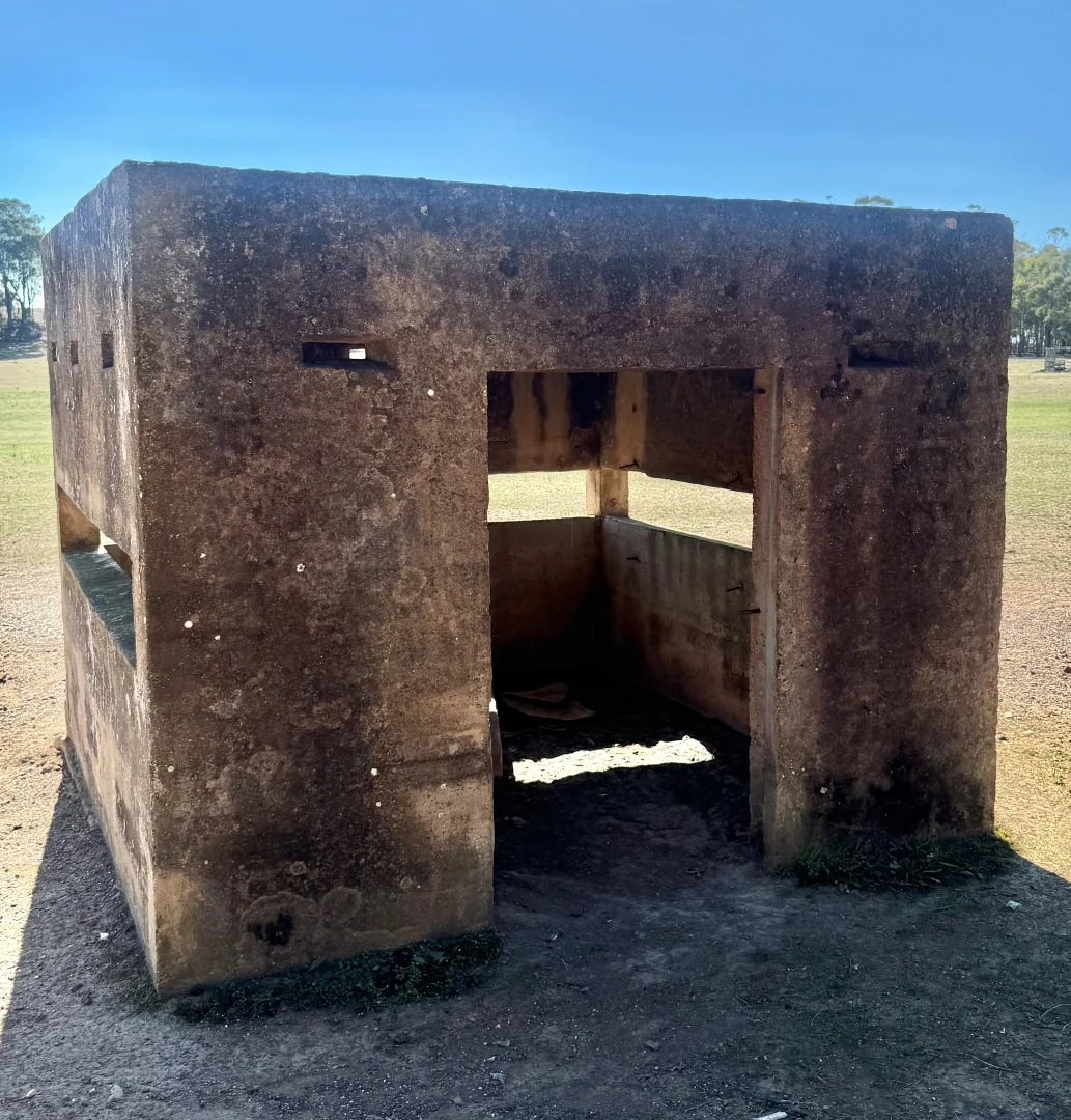 Image 4