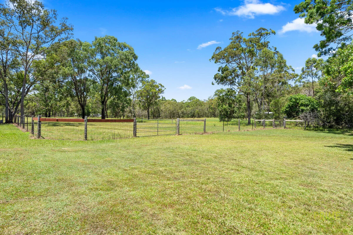 Image 14