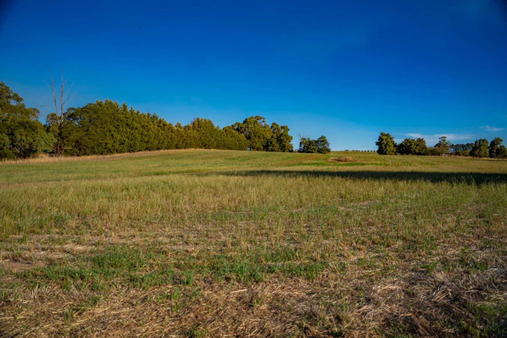 Additional image 6 of 180 Sharpes Road, Miners Rest VIC 3352