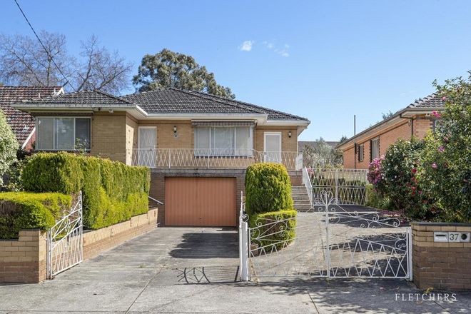 Picture of 37 Bedford Street, BOX HILL VIC 3128