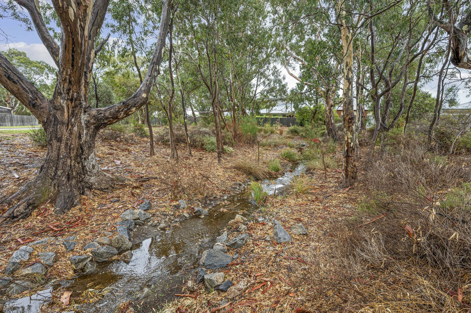 Image 35