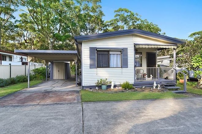 Picture of 135/2 Evans Road, CANTON BEACH NSW 2263