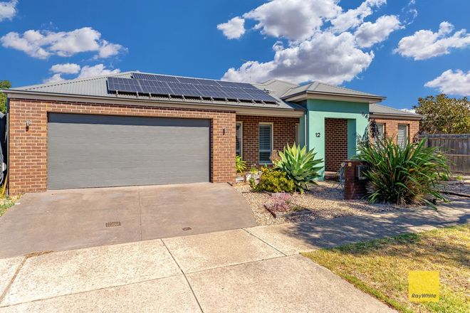 Picture of 12 Muscovy Drive, GROVEDALE VIC 3216