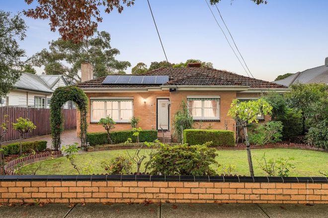 Picture of 3 Haig Street, BOX HILL SOUTH VIC 3128
