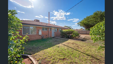 Picture of 36 NEMESIS PLACE, SOUTH KALGOORLIE WA 6430