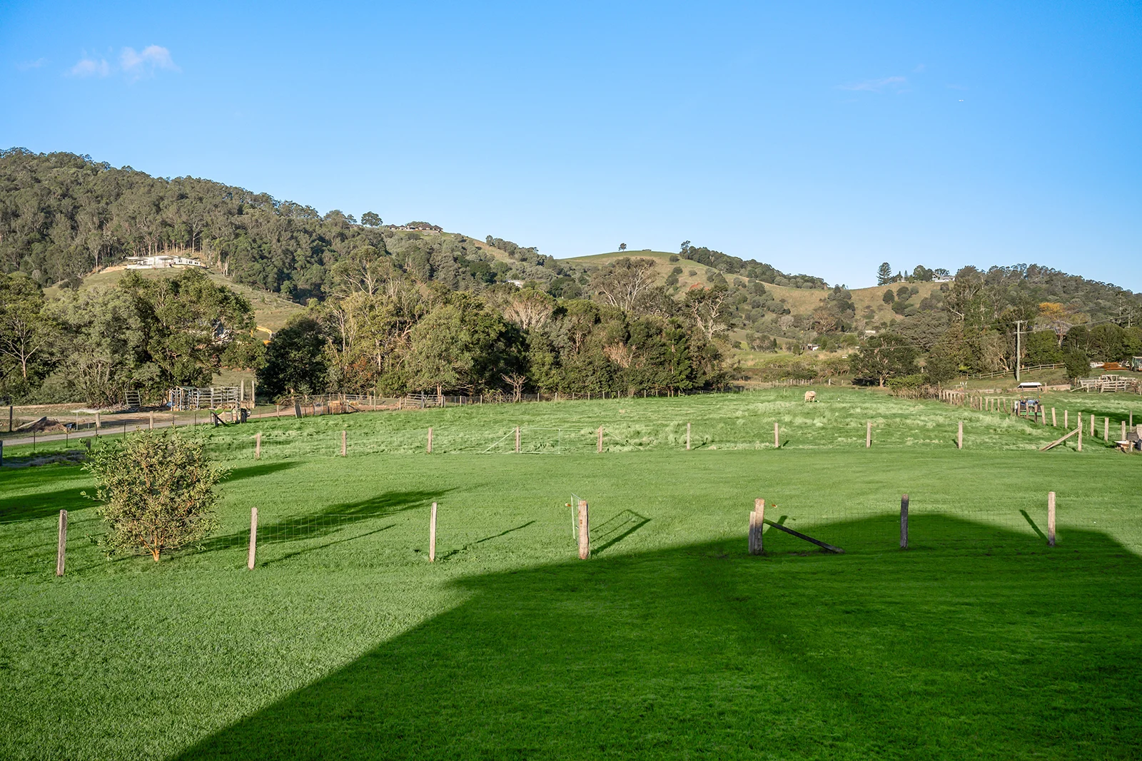 Image 10