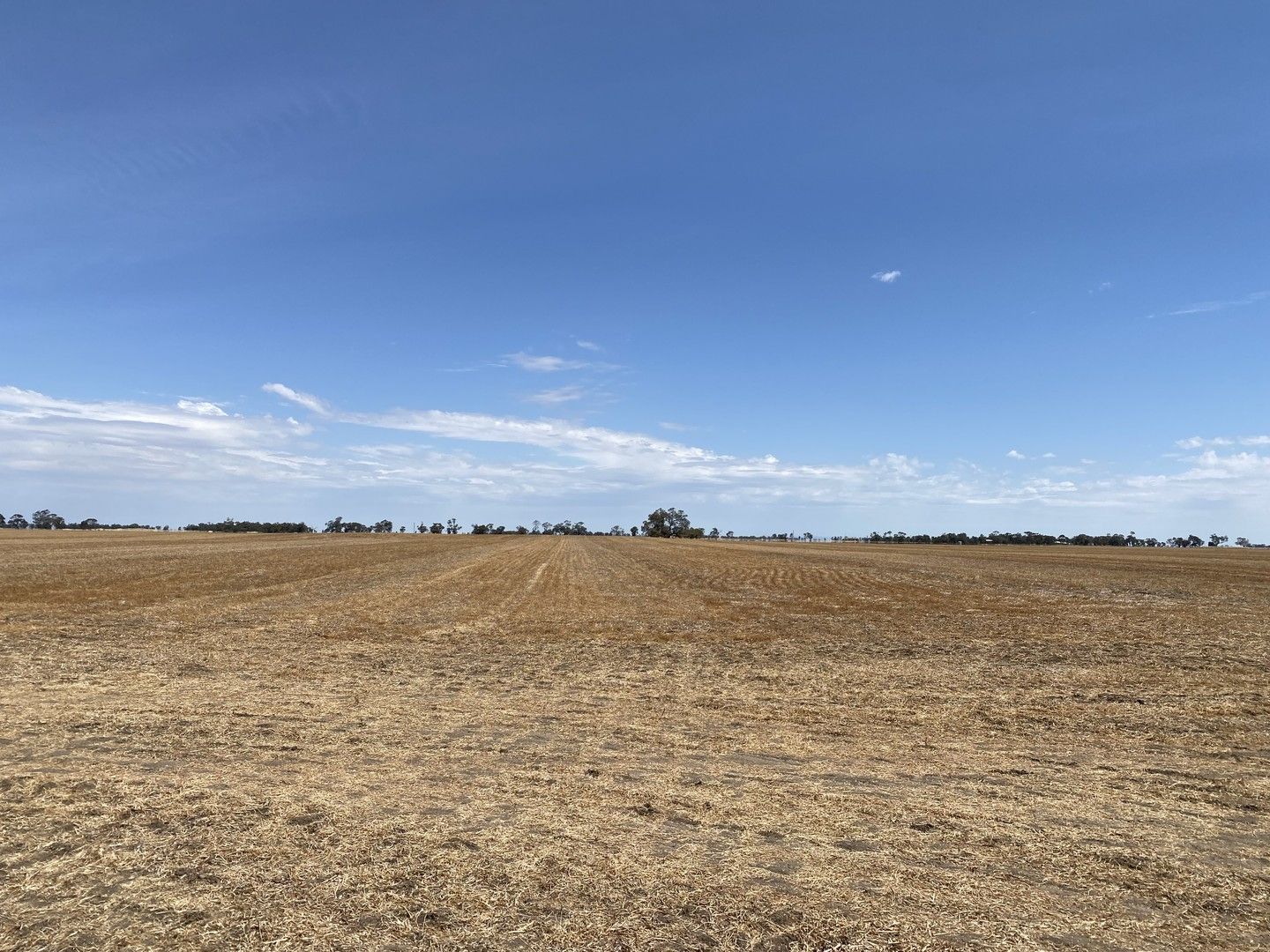 Donald-Murtoa Road, Minyip VIC 3392, Image 0