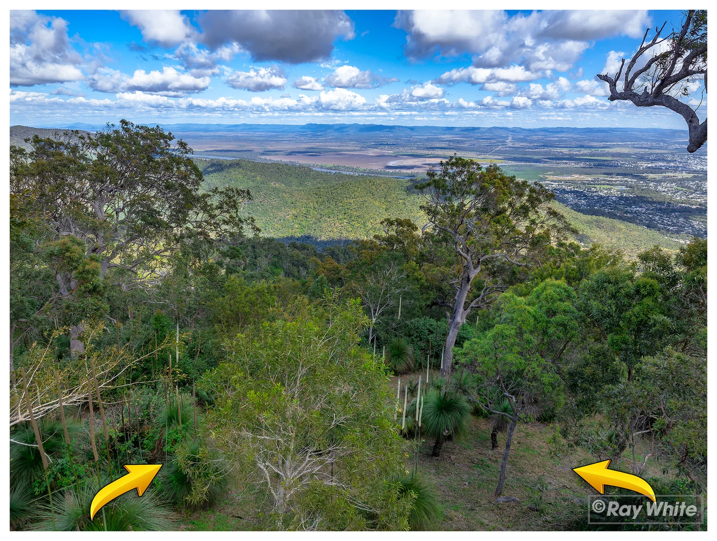 23 Elida Street, Mount Archer QLD 4701 | Domain