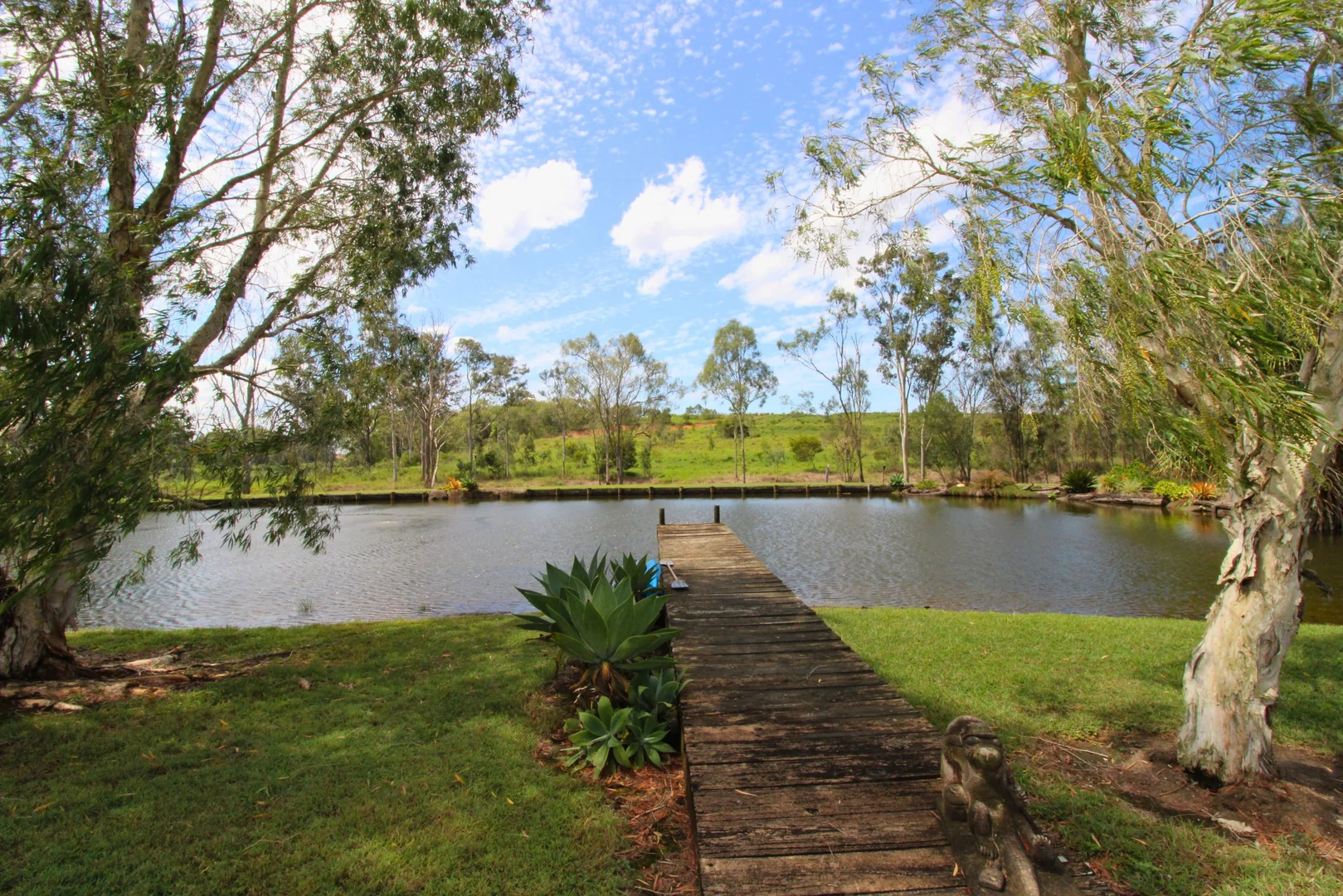 Image 15