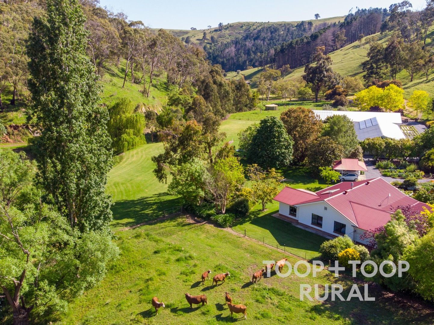 61 Snake Gully Road, Cudlee Creek SA 5232, Image 0