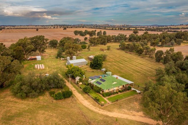 Picture of 3946 Olympic Hwy "BROOKFIELD", HENTY NSW 2658