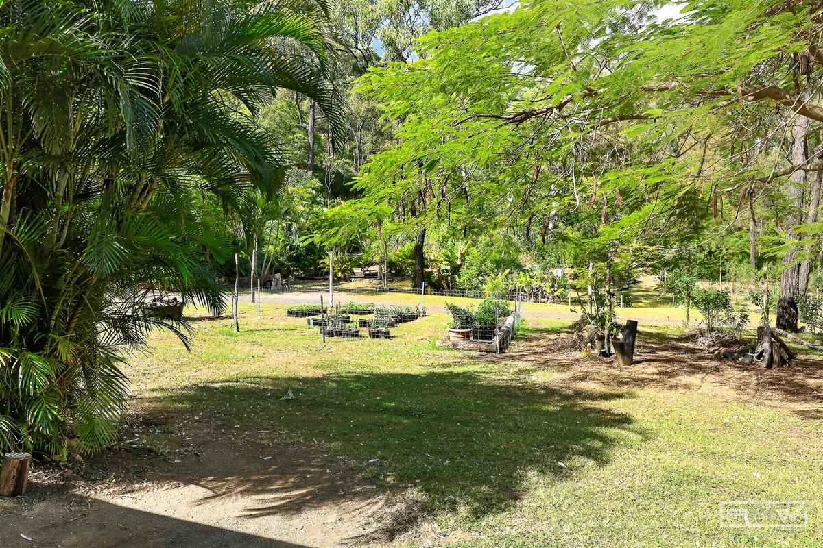 Image 31