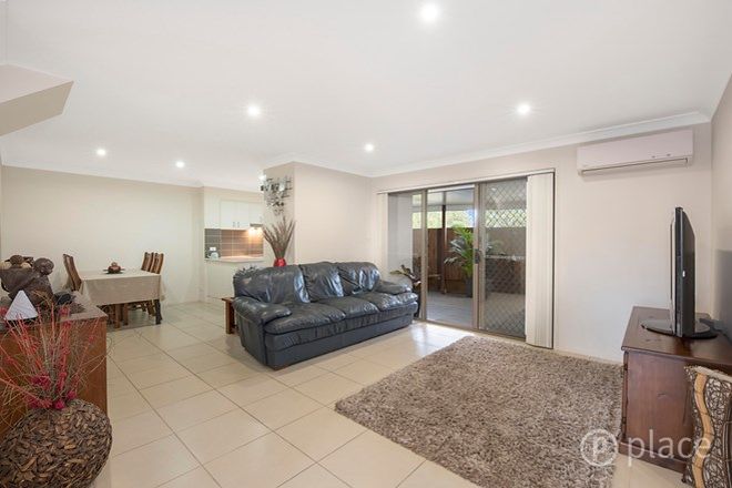 Picture of 43/88 Candytuft Place, CALAMVALE QLD 4116