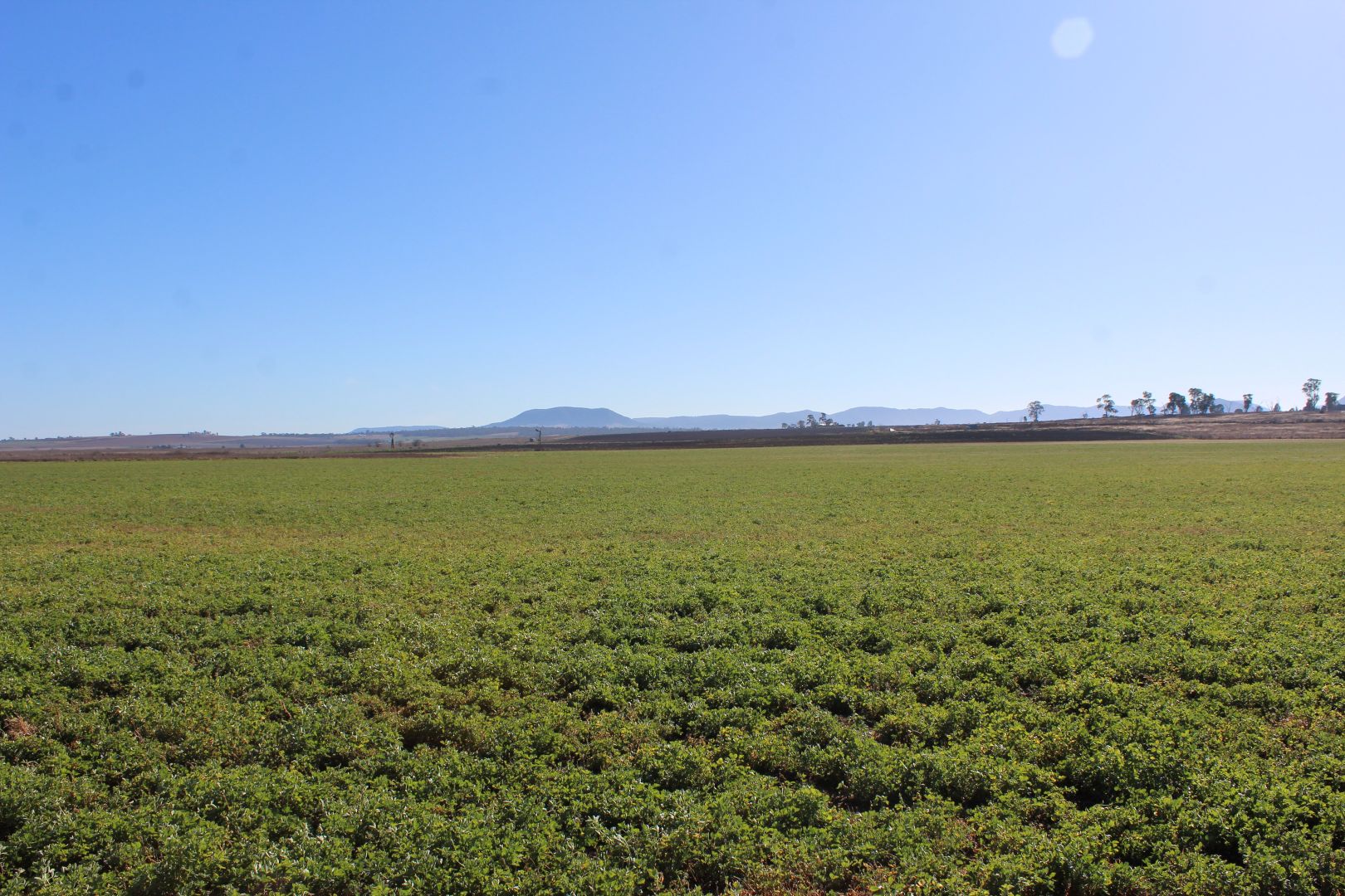 Lot 2 Box Road, Wiyarra QLD 4370, Image 1