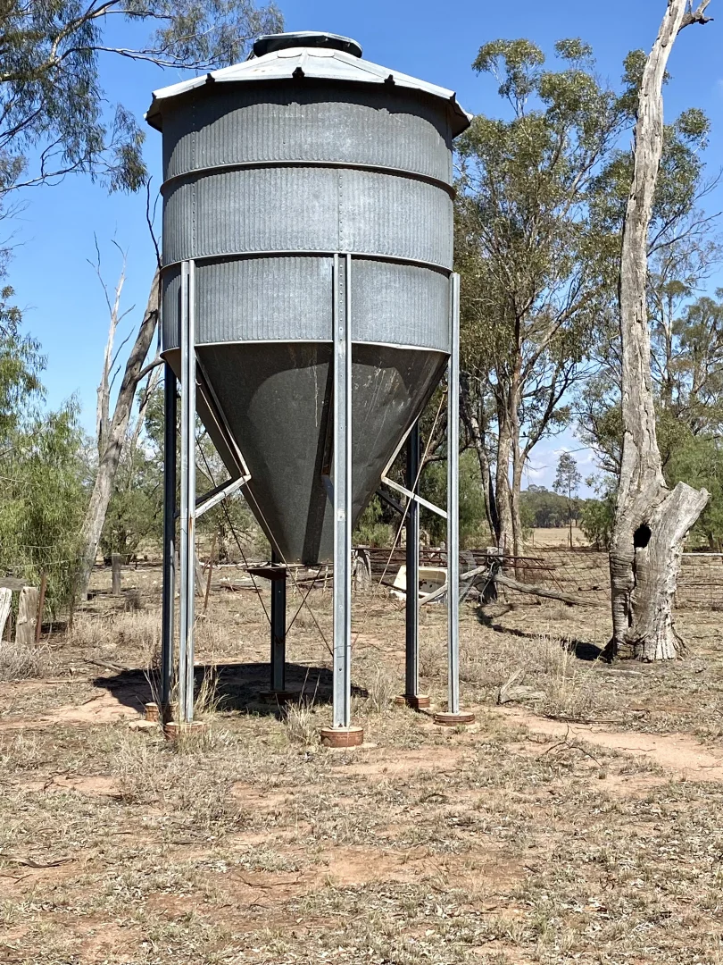 Gilgandra NSW 2827 photo 5