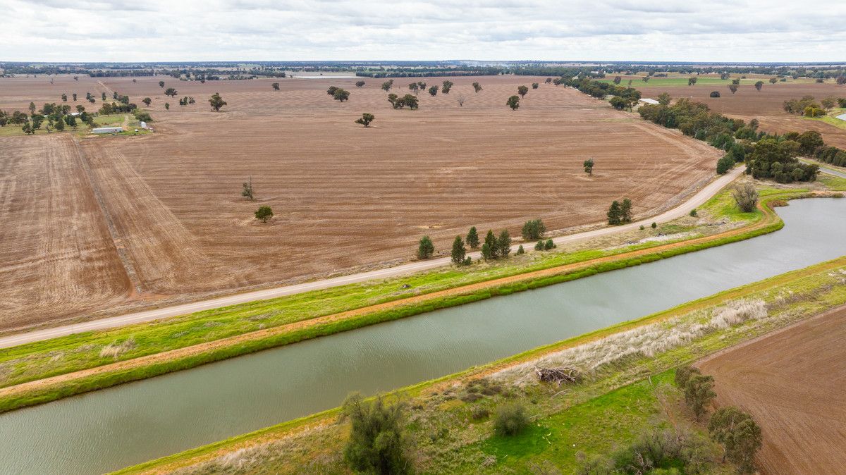 1757 Berrigan Road, Berrigan NSW 2712 House for Sale Domain