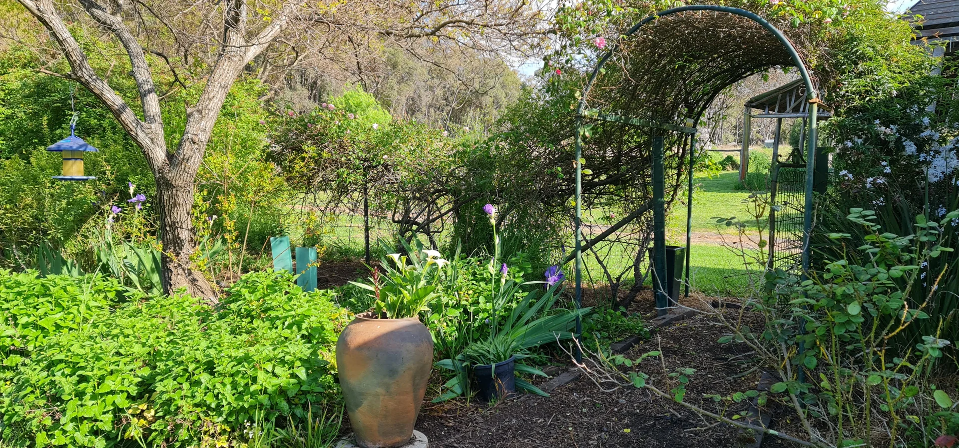 Additional image 5 of 6918 Warrumbungles Way, Coonabarabran NSW 2357