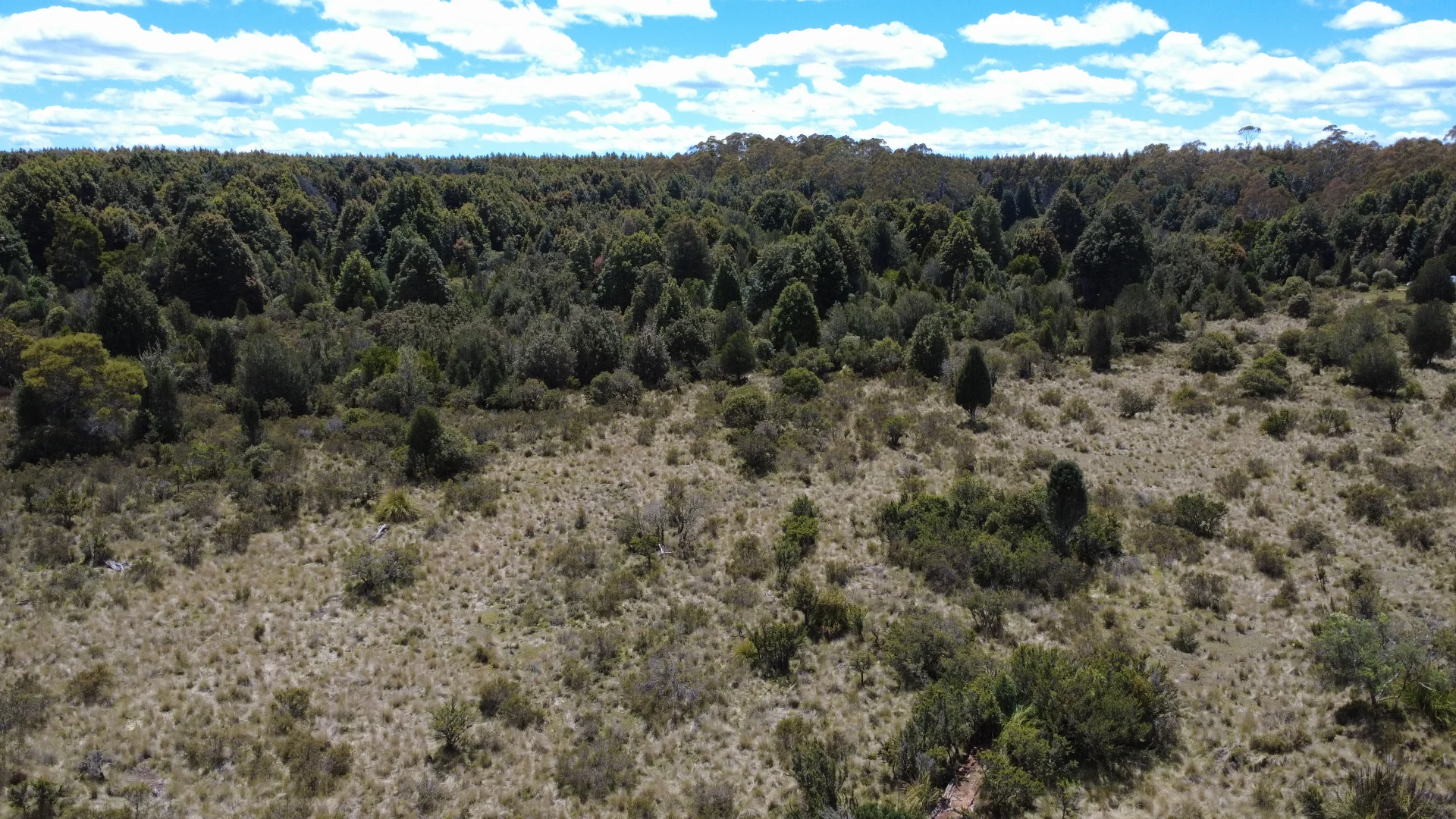 Additional image 8 of 396 Waratah Rd, Waratah TAS 7321