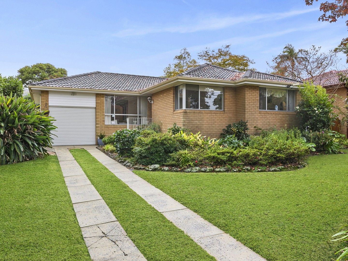 3 bedrooms House in 38 Ralston Avenue BELROSE NSW, 2085