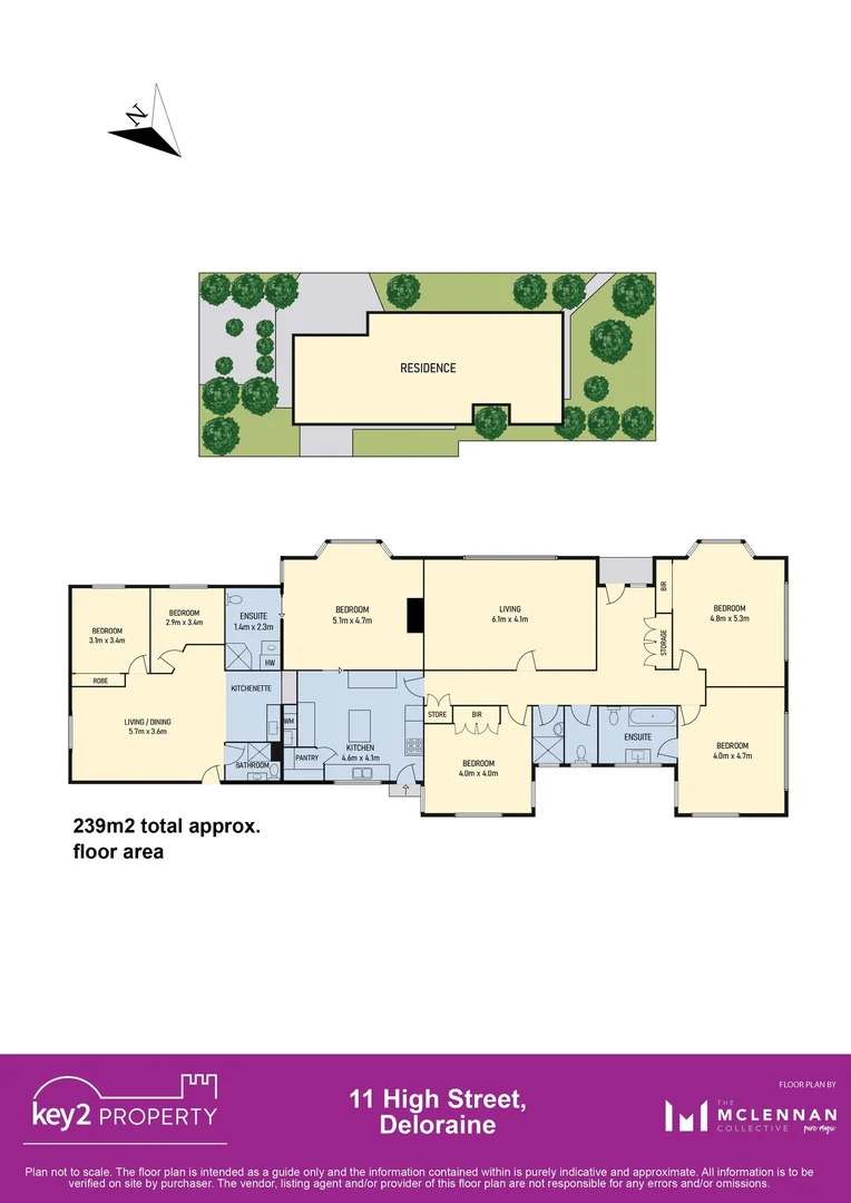 Image 21