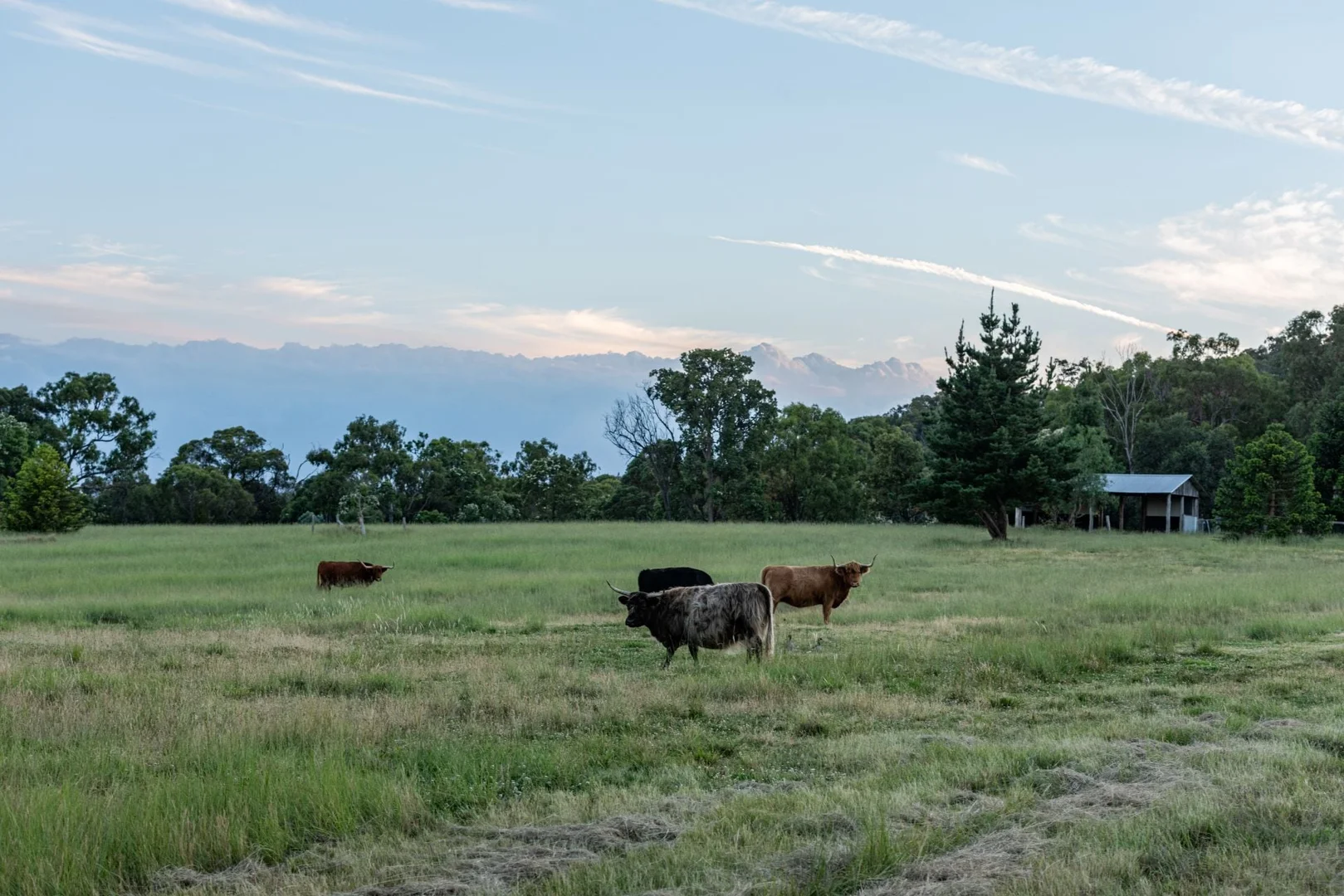 Additional image 33 of 555 Thorndale Road, Thorndale QLD 4380