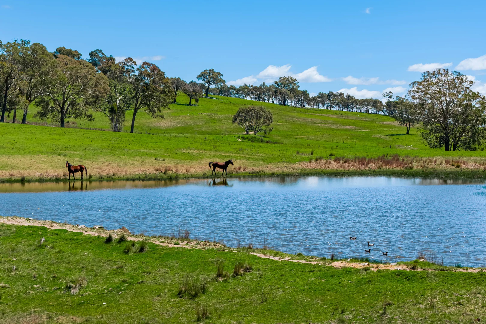 Additional image 26 of 329 Bridge Creek Road, Binda NSW 2583