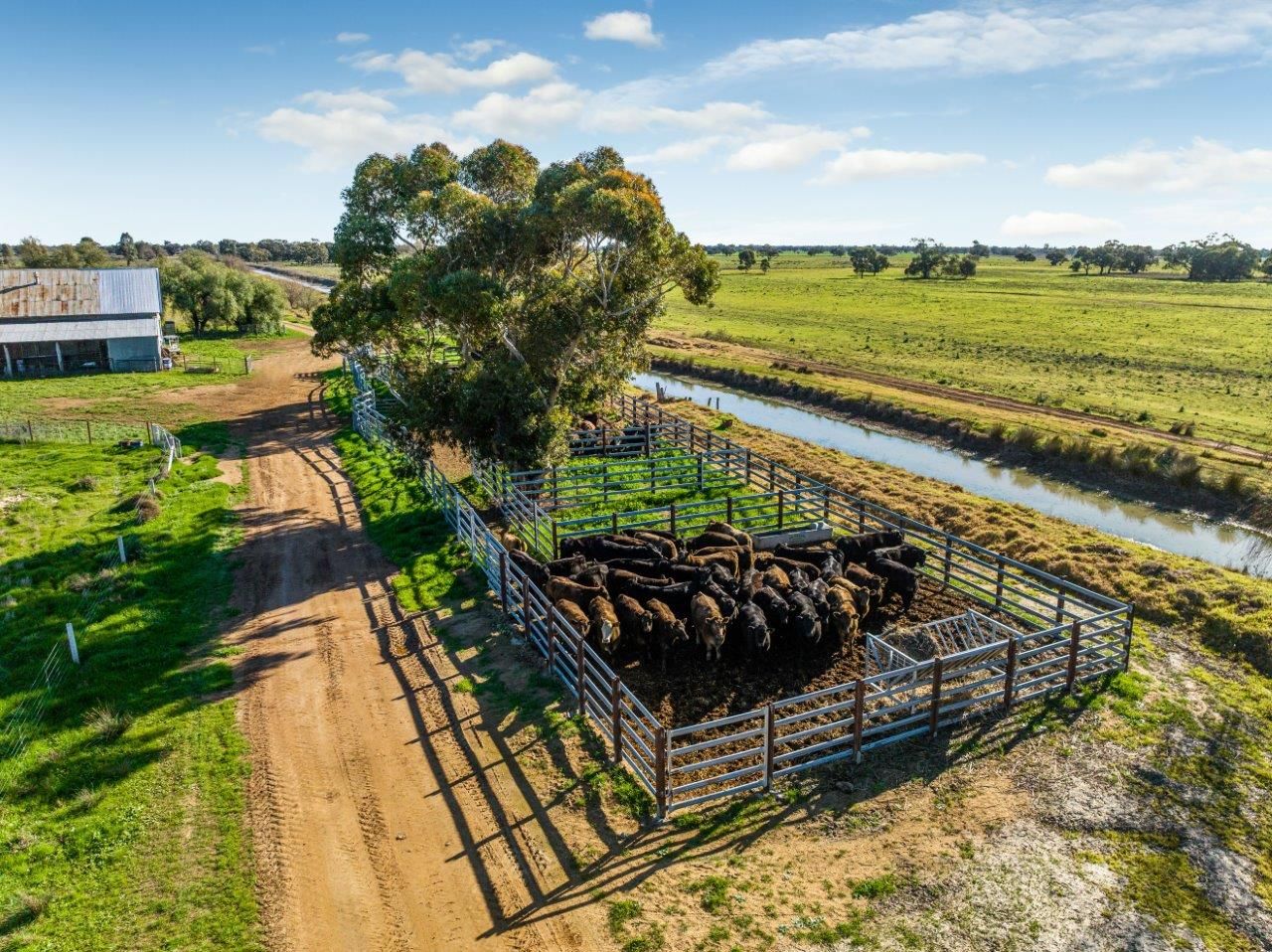 495 Burraboi Road, Barham NSW 2732 House for Sale Domain
