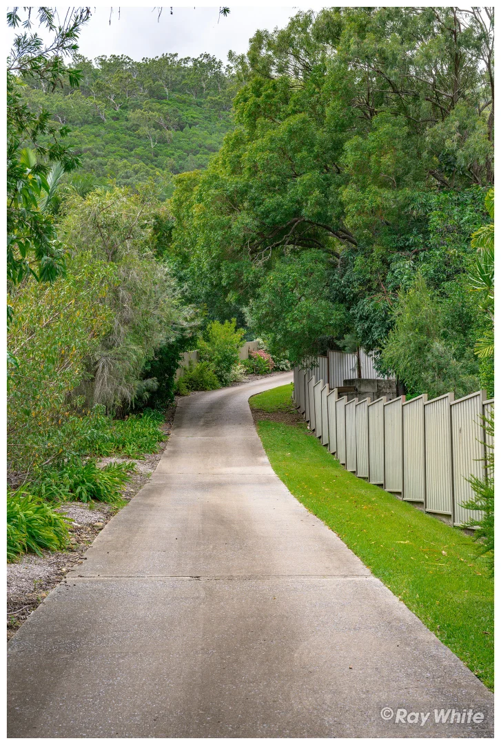 Image 65