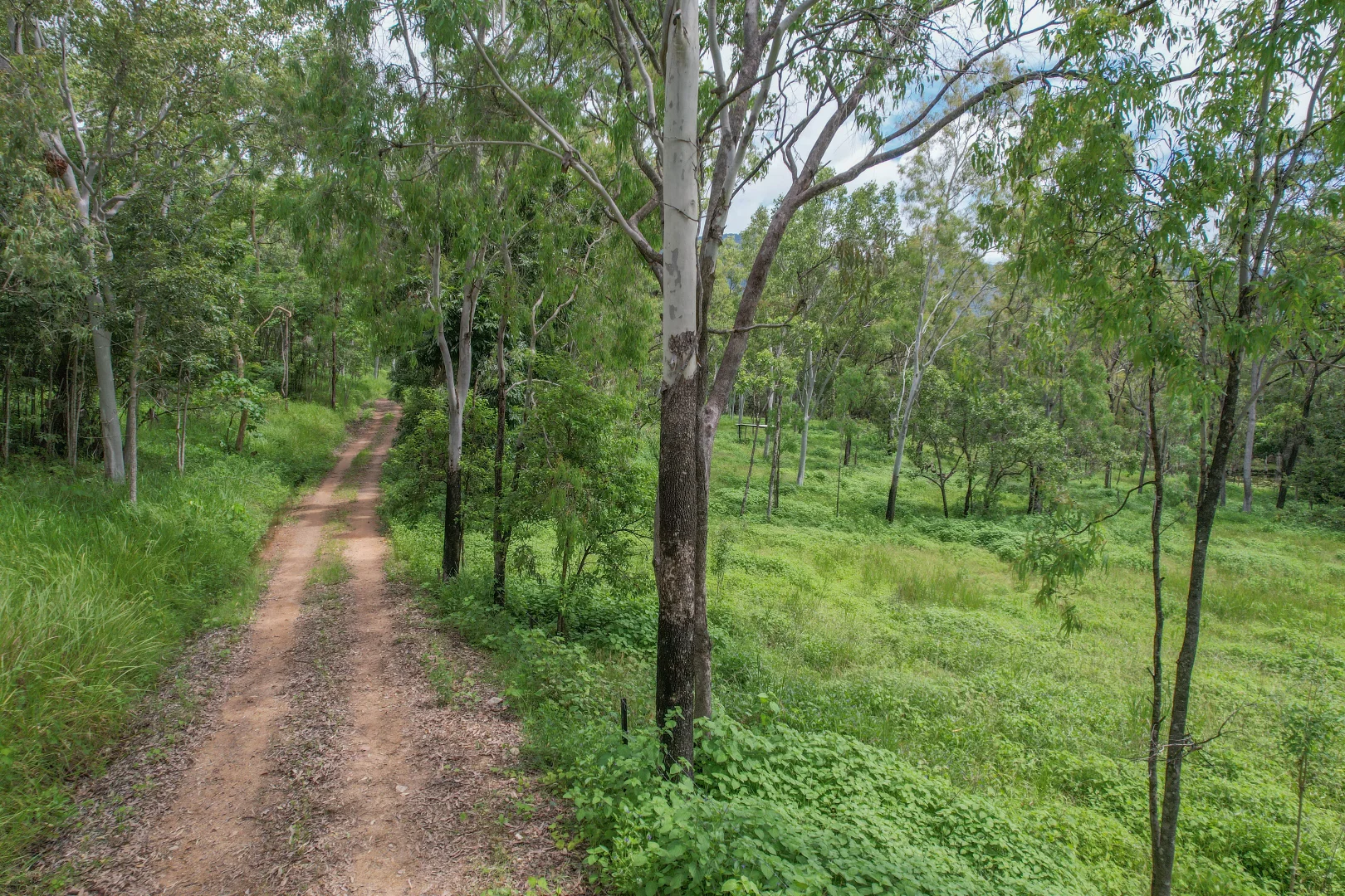 Additional image 52 of 56 Probert Road, Bambaroo QLD 4850