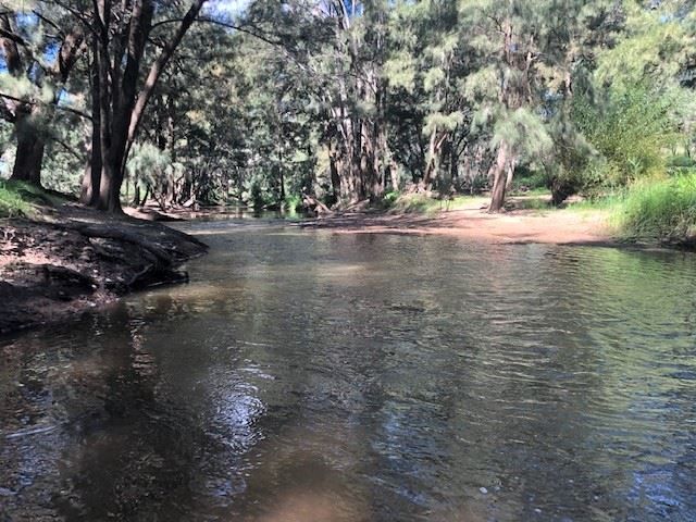 'Jardine'/266 Gum Gully Road Mebul, Gulgong NSW 2852, Image 0