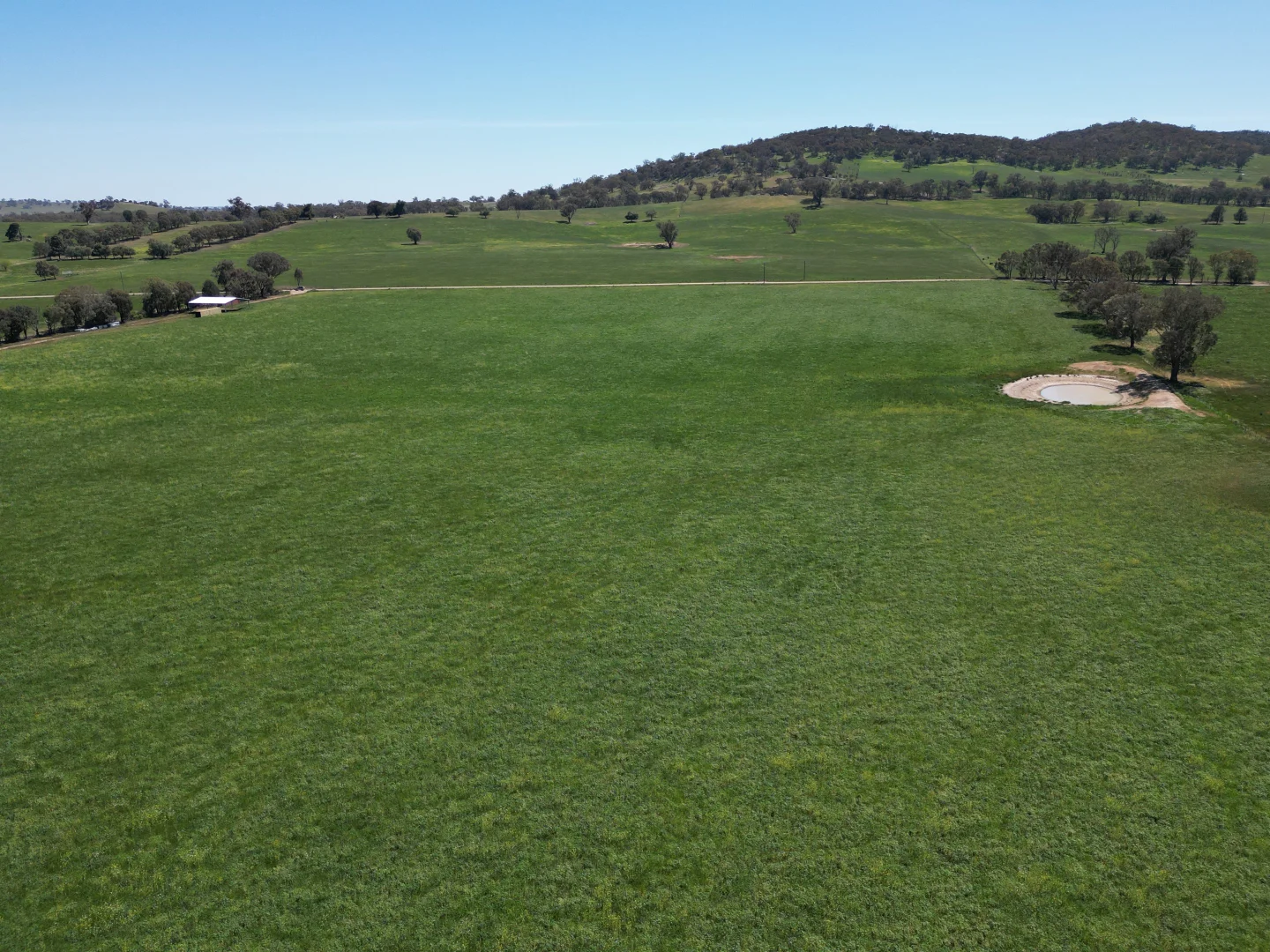 Additional image 29 of 798 Bethel Road, Glenellen NSW 2642