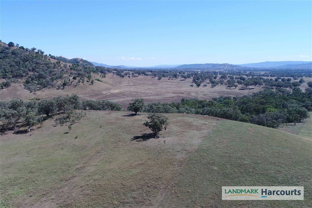 438 Riverstone Road, Upper Horton NSW 2347, Image 2