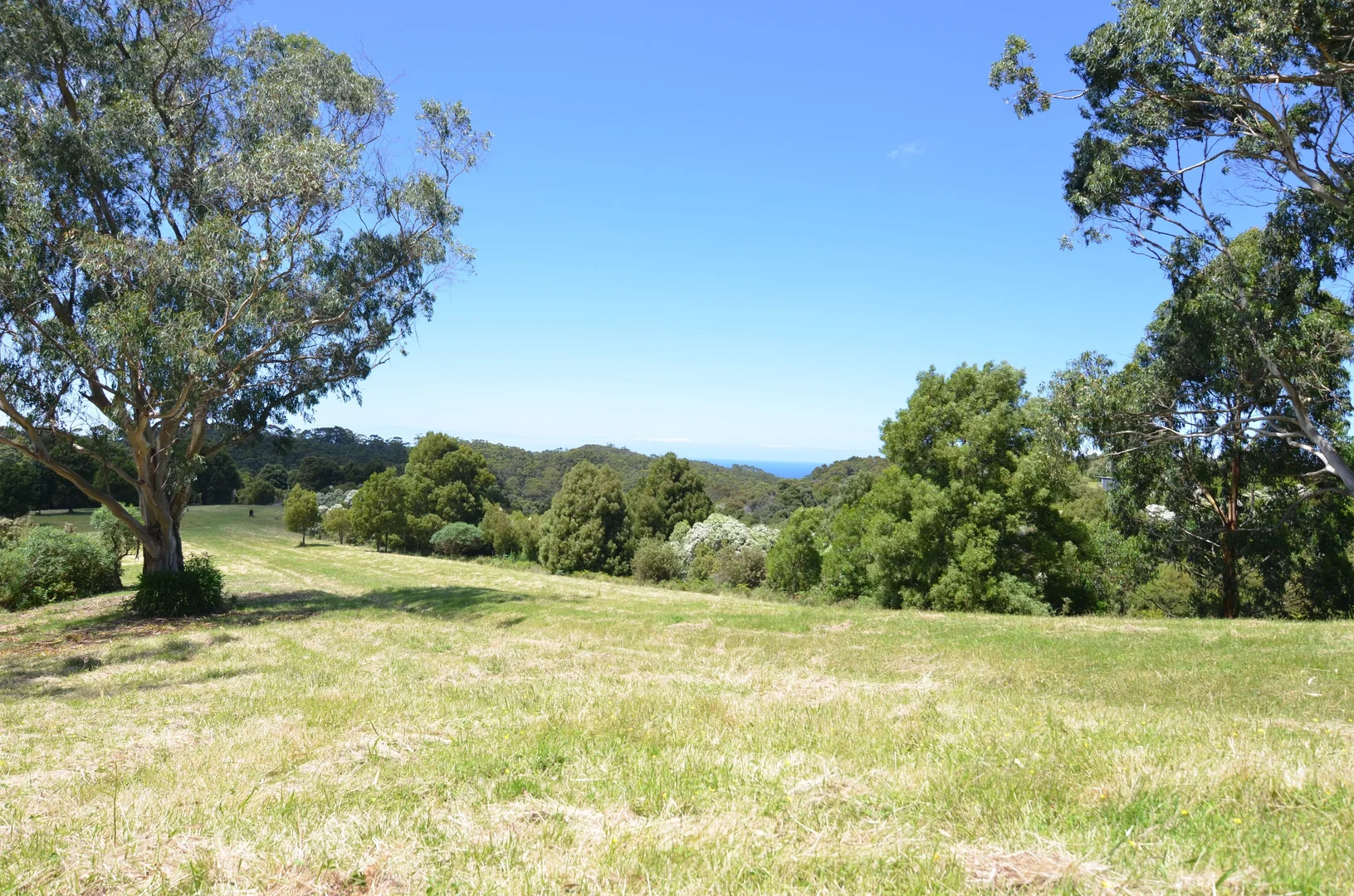 Image 11