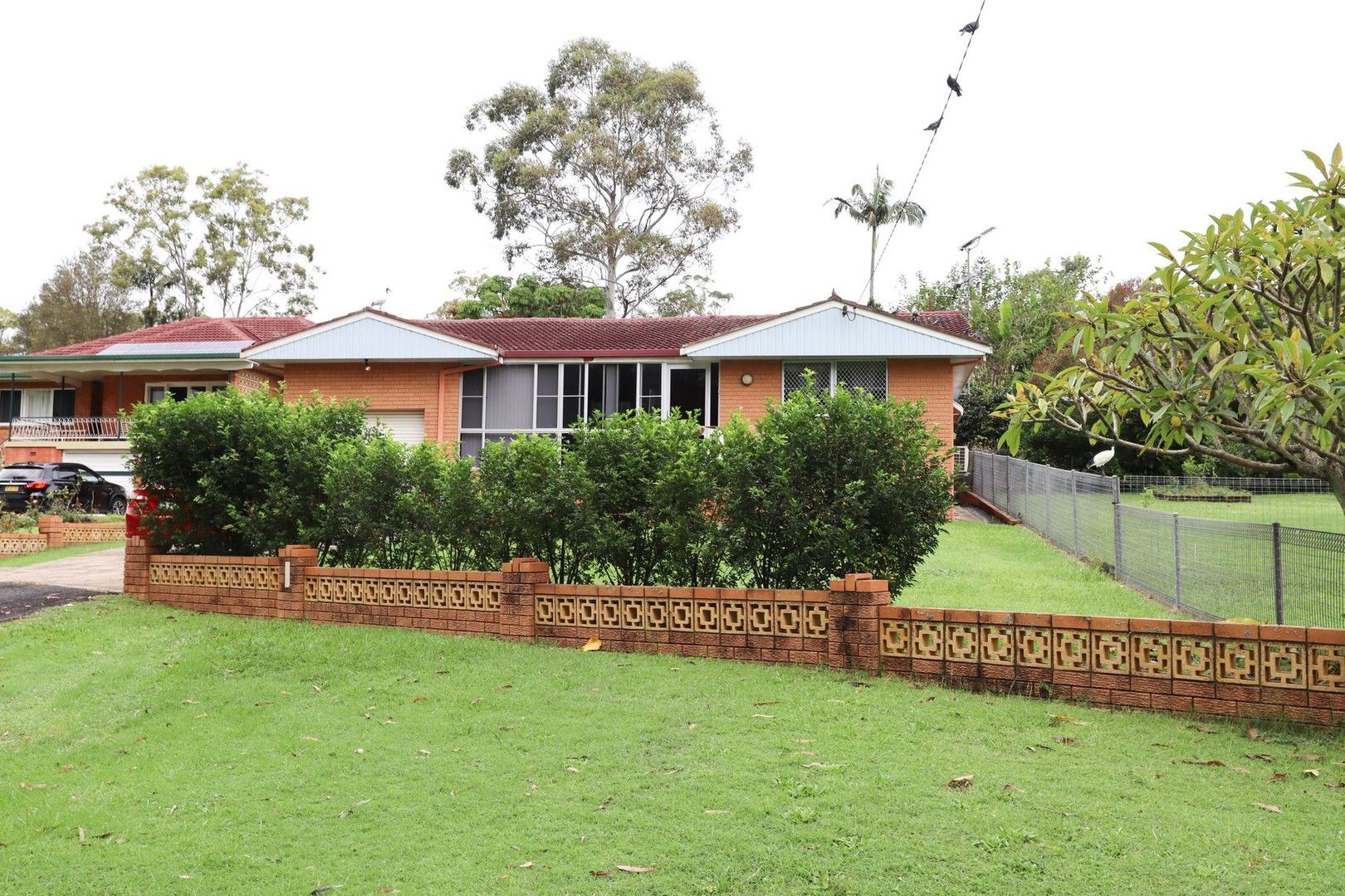 79 Donnans Road, Lismore Heights NSW 2480 House For Rent Domain