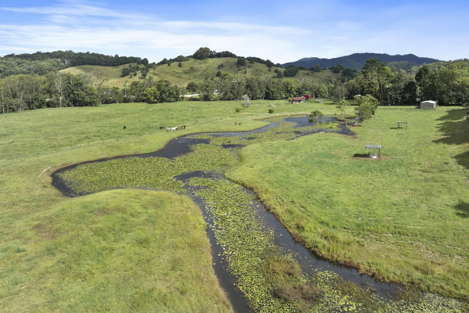 Additional image 33 of 160 Upper Crystal Creek Road, Upper Crystal Creek NSW 2484