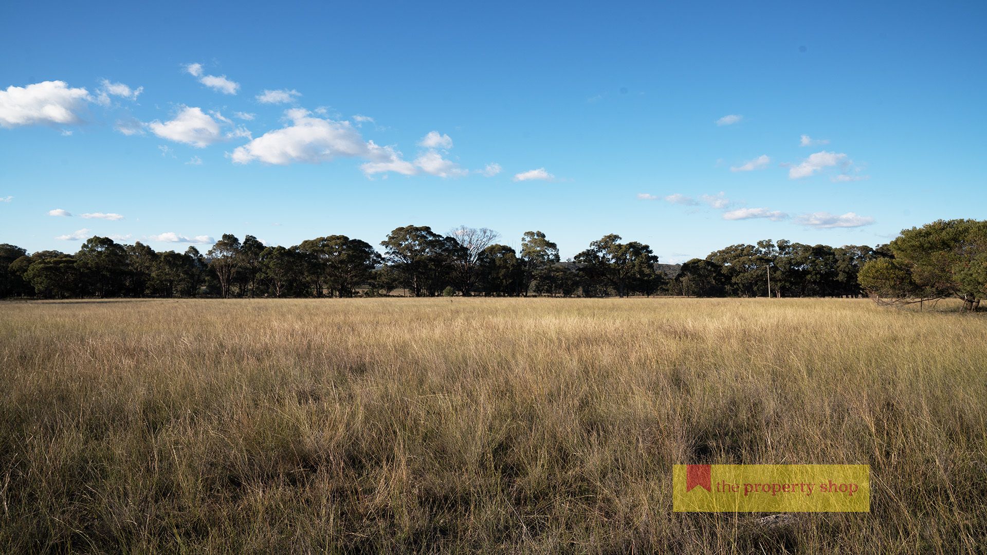 265 Lower Piambong Road, Mudgee NSW 2850, Image 0