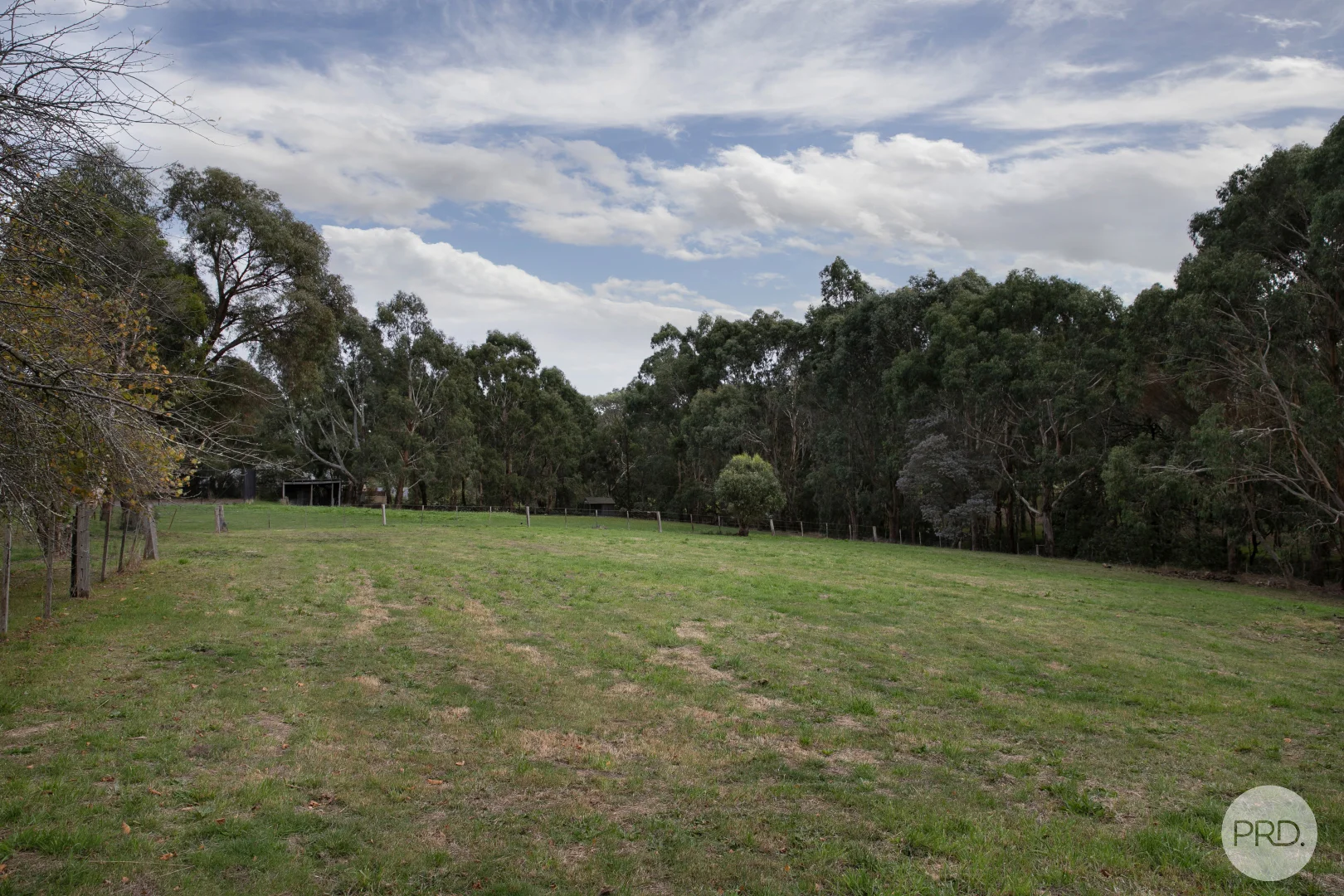 Image 30