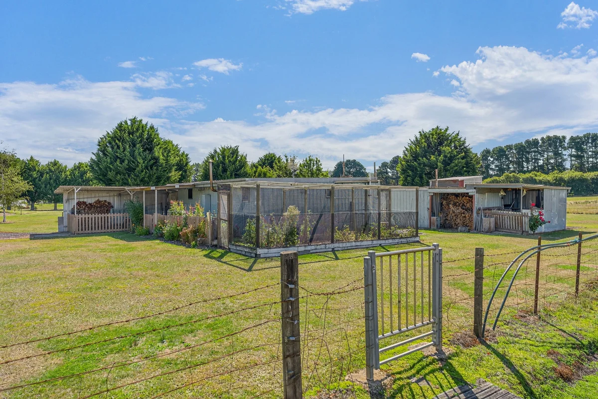 Additional image 14 of 21 Messmate Road, Lyonville VIC 3461