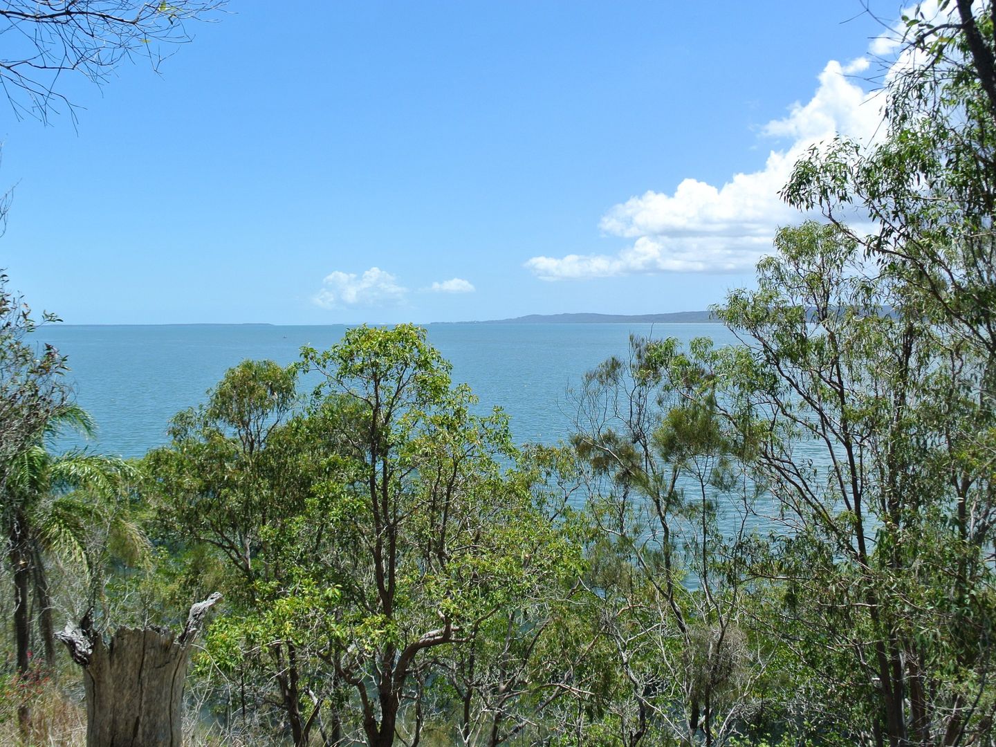 3 Pacific Street, Lamb Island QLD 4184 Domain