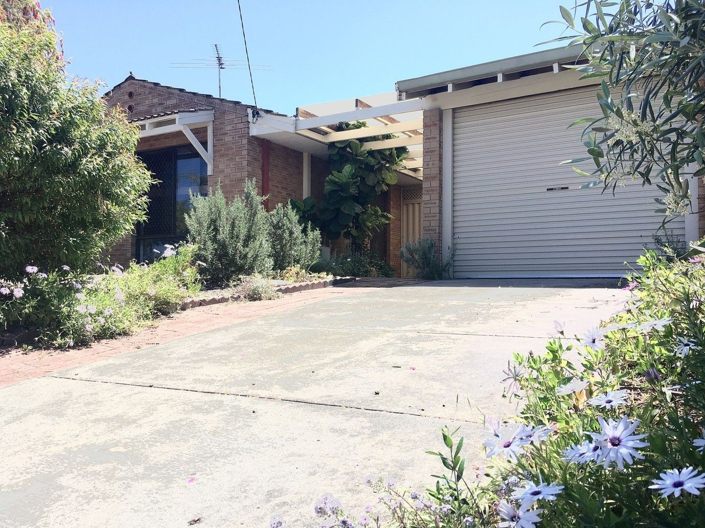 3 bedrooms House in 5 Hawk Pl CRAIGIE WA, 6025