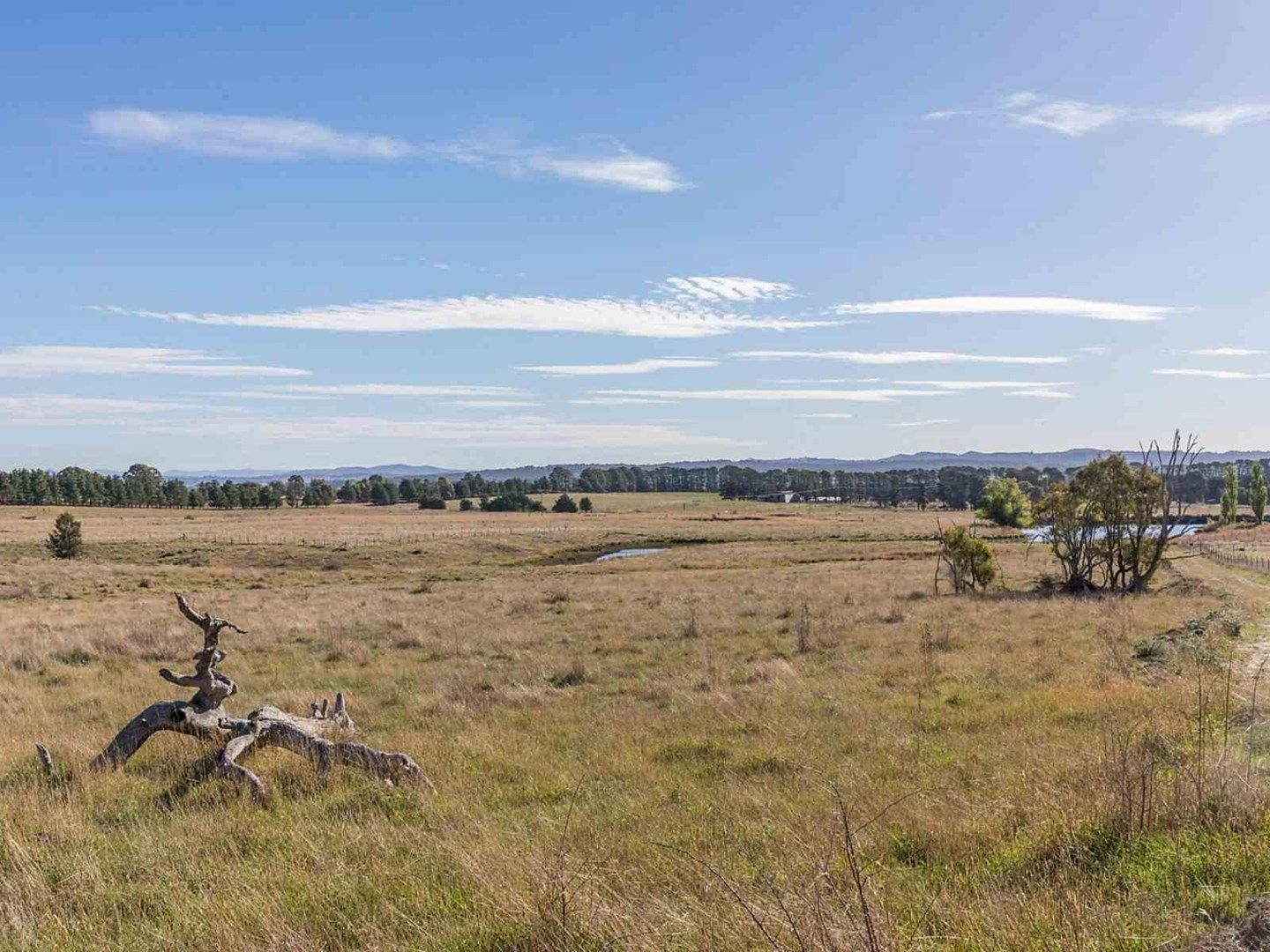 149 Dairy Creek Road, Gundaroo NSW 2620, Image 1