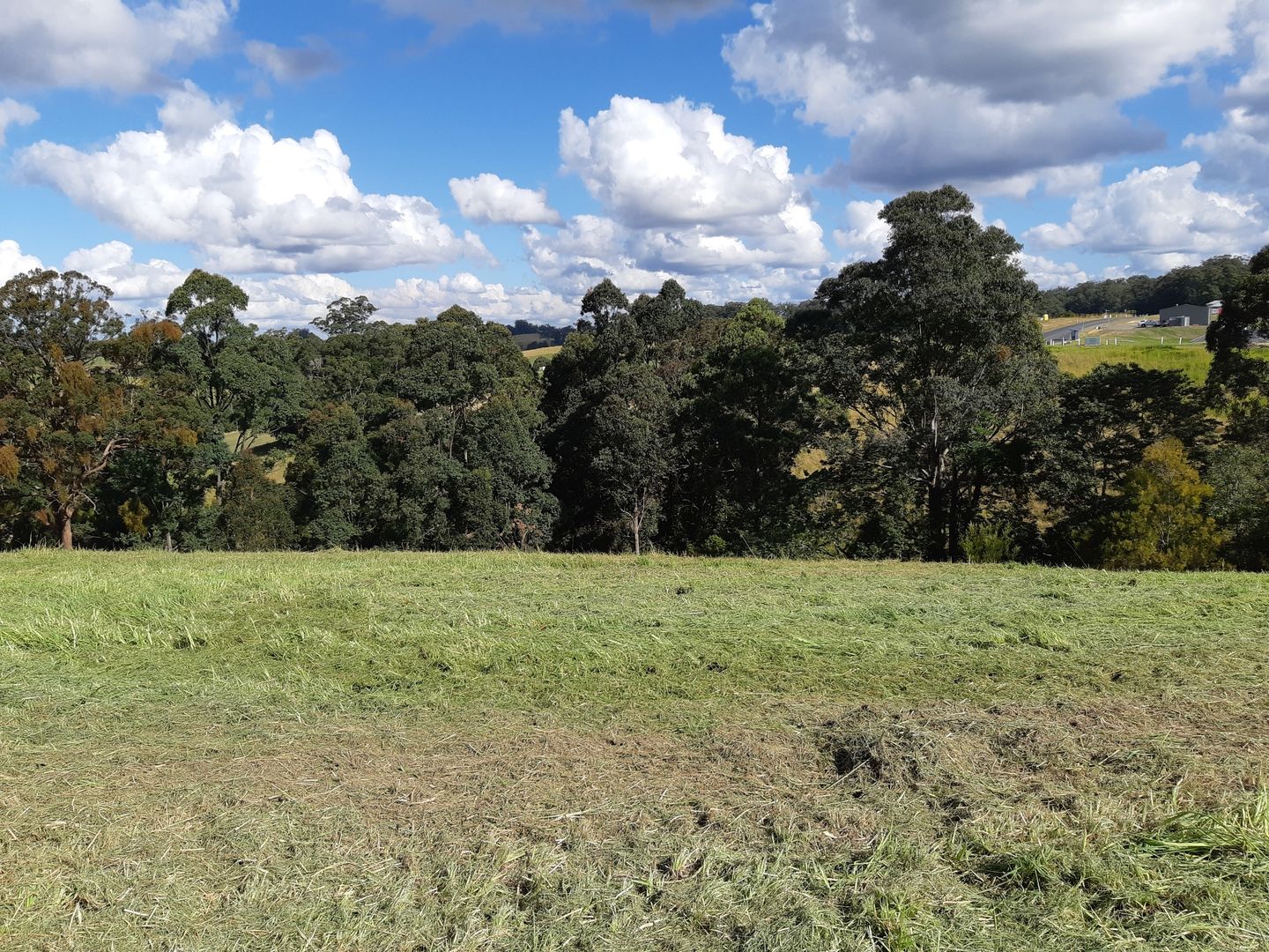 Lot 9 Strawberry Road, Congarinni NSW 2447, Image 2