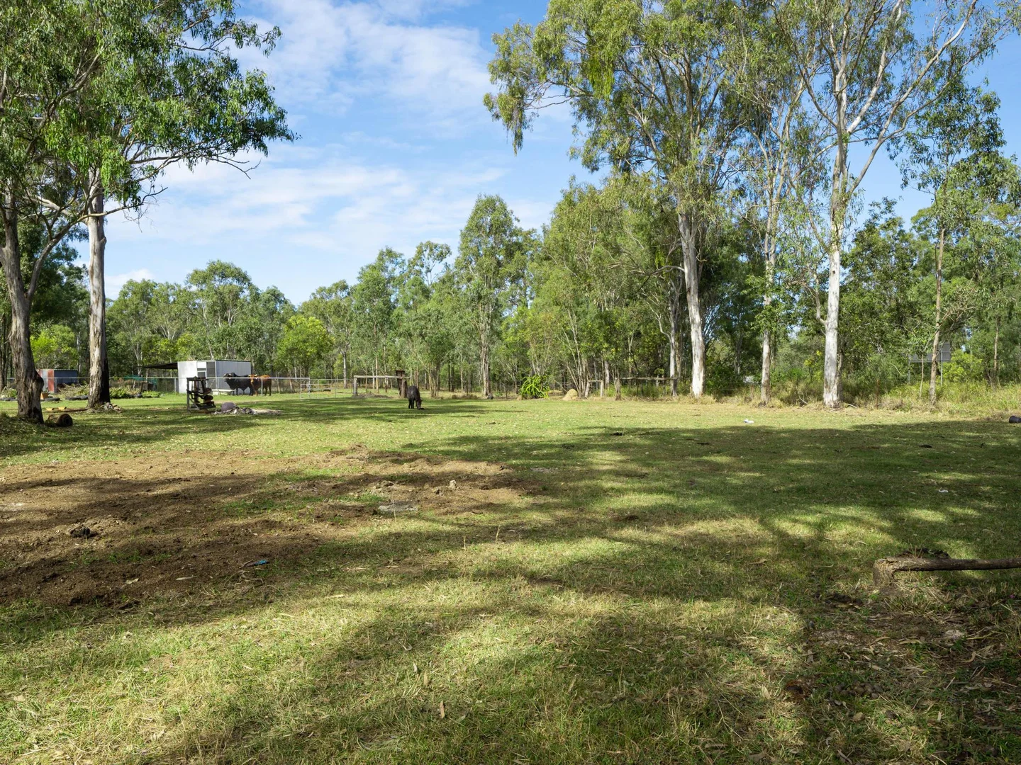 Image 12