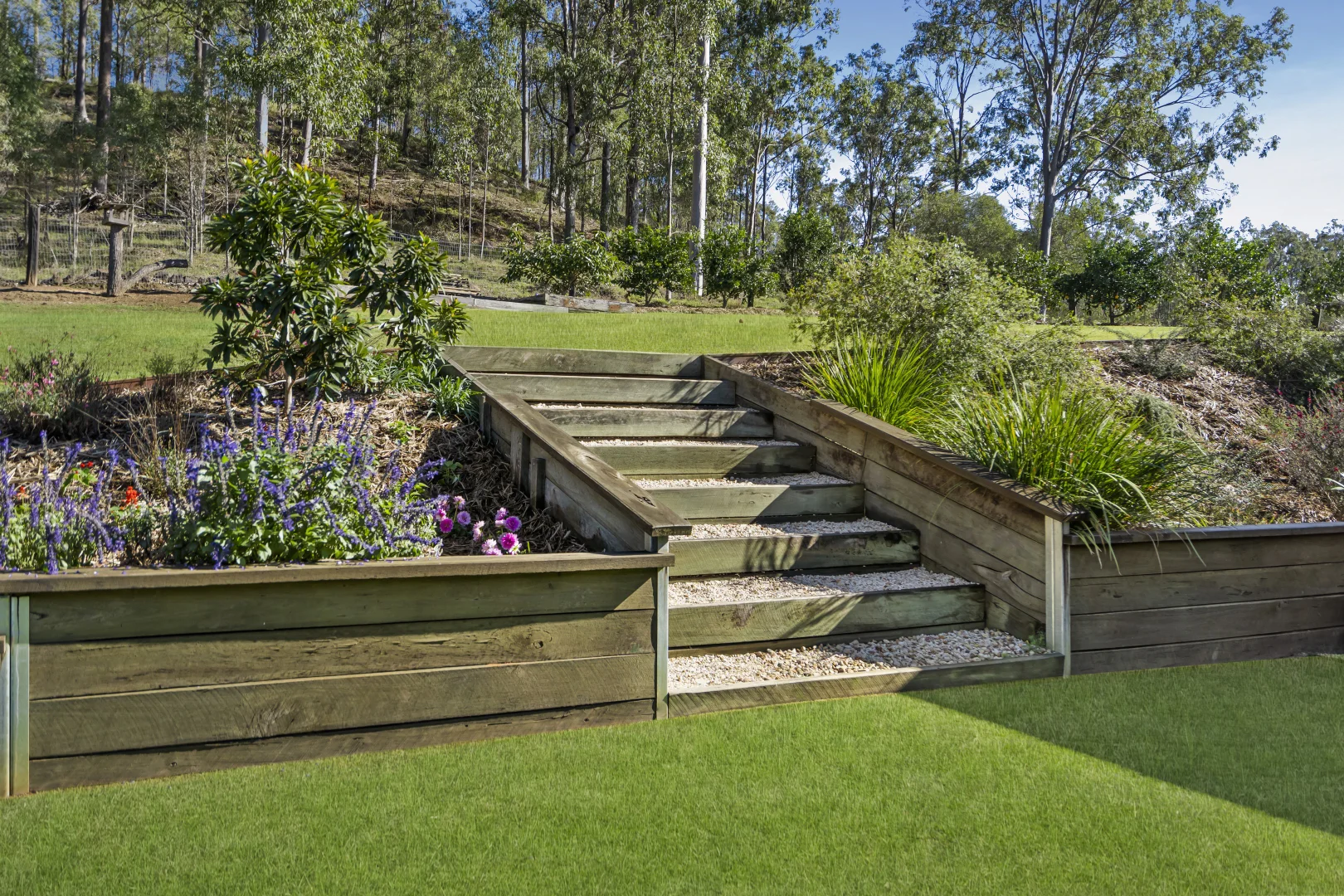 Image 15