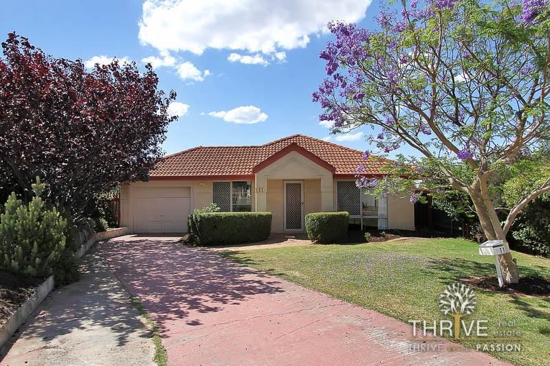 11 Centaury Close, Beeliar WA 6164